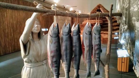旭川市博物館のおすすめアイヌ文化展示