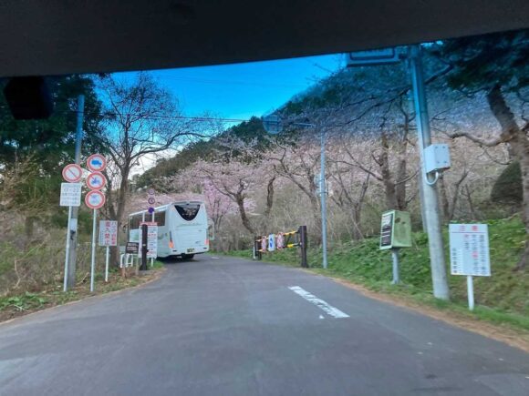 函館山に自家用車（レンタカー）で登山する注意点