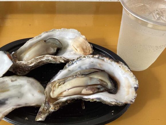 さっぽろオータムフェストおすすめ「釧路町」の焼き牡蠣